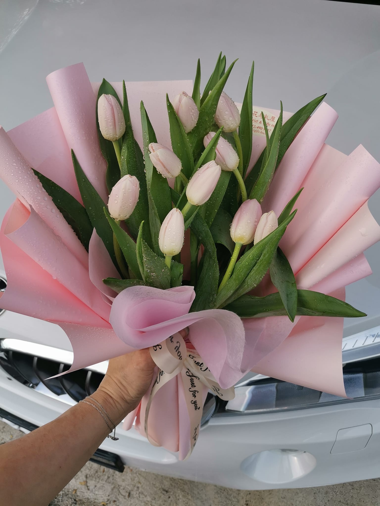 Pink Harmony